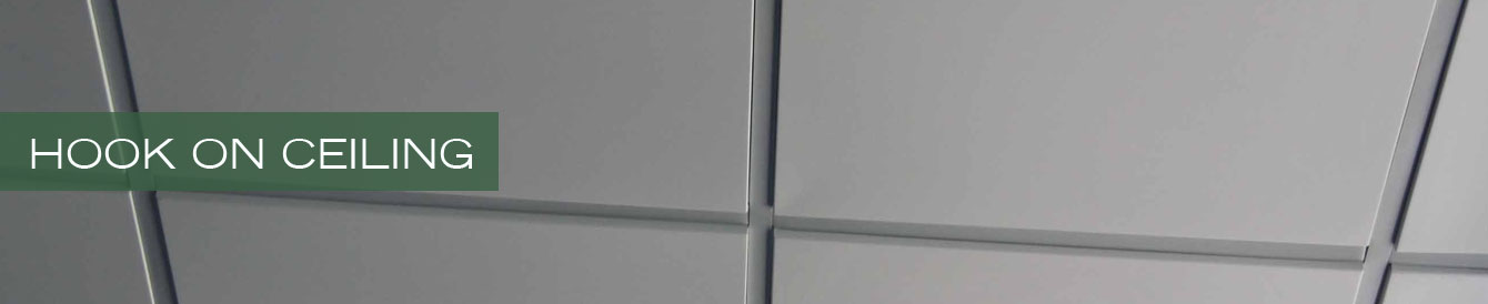 Hook on ceiling