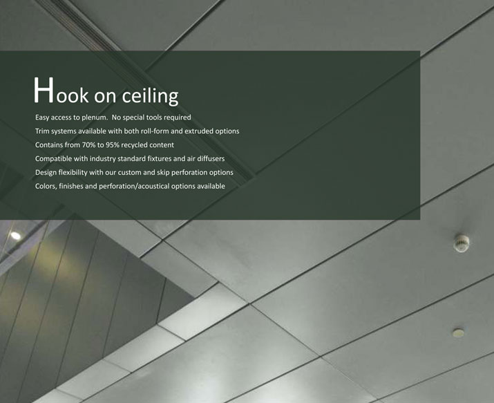 Hook on ceiling