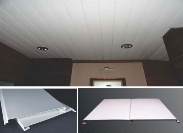 Inter Locking strip ceiling
