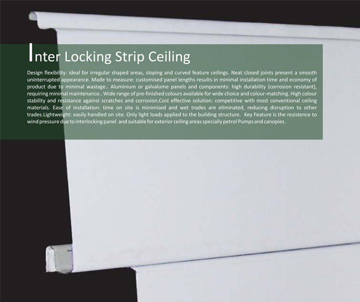 Inter Locking strip ceiling