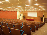 Customised Ceiling System